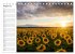 Sonnenblumenfelder (Tischkalender 2026... - Bild 14