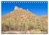 SAGUARO NATIONAL PARK Heimat des... - Bild 13