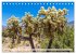 SAGUARO NATIONAL PARK Heimat des... - Bild 14