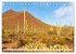 SAGUARO NATIONAL PARK Heimat des... - Bild 3