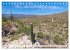 SAGUARO NATIONAL PARK Heimat des... - Bild 7