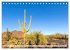 SAGUARO NATIONAL PARK Heimat des... - Bild 8