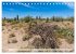 SAGUARO NATIONAL PARK Heimat des... - Bild 9