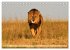 Faszination Afrika: Löwen... - Bild 3