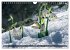 Mein Donautal (Wandkalender 2026 DIN A4... - Bild 9
