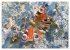 GEOclick Lernkalender: Porträts... - Bild 12