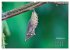 GEOclick Lernkalender: Porträts... - Bild 8