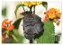 GEOclick Lernkalender: Porträts... - Bild 9