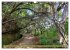 Faszination Madeira (Wandkalender 2026... - Bild 11