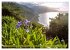 Faszination Madeira (Wandkalender 2026... - Bild 12