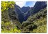Faszination Madeira (Wandkalender 2026... - Bild 13