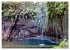 Faszination Madeira (Wandkalender 2026... - Bild 14