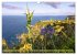 Faszination Madeira (Wandkalender 2026... - Bild 15