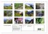 Faszination Madeira (Wandkalender 2026... - Bild 6