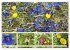Blütenmeer am Wegesrand (Wandkalender... - Bild 7