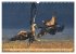 Majestätische Seeadler (Wandkalender... - Bild 7