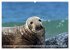 Schöne Insel Helgoland (hochwertiger... - Bild 7