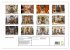 Fotogalerie Fotogalerie