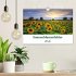 Sonnenblumenfelder (Wandkalender 2026... - Bild 2