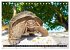 Seychellen Inselblicke (Tischkalender... - Bild 9