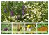 Blütenmeer am Wegesrand (Wandkalender... - Bild 13