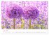 Blütenträume in violett und pink... - Bild 12