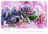 Blütenträume in violett und pink... - Bild 4