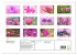 Blütenträume in violett und pink... - Bild 5