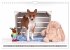 Zauberhafte Basenji-Welpen... - Bild 10