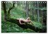 Akt und Natur - im Zauberwald... - Bild 7