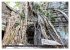 Angkor - Die Tempel der Khmer... - Bild 12