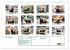 Das Capybara (Wandkalender 2026 DIN A2... - Bild 6