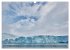 Svalbard-Momente (Wandkalender 2026 DIN... - Bild 7