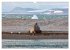 Svalbard-Momente (Wandkalender 2026 DIN... - Bild 10