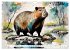 Das Capybara (Wandkalender 2026 DIN A4... - Bild 3