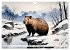 Das Capybara (Wandkalender 2026 DIN A4... - Bild 5