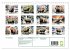 Das Capybara (Wandkalender 2026 DIN A4... - Bild 6