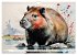 Das Capybara (Wandkalender 2026 DIN A4... - Bild 10
