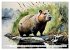 Das Capybara (hochwertiger Premium... - Bild 7