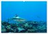 Mikronesien: Yap und Palau... - Bild 6