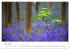Fotogalerie Fotogalerie