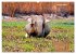 Wilde Tiere Indiens (hochwertiger... - Bild 7