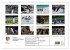Fotogalerie Fotogalerie