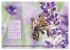 GEOclick Lernkalender: Insekten... - Bild 12