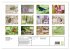 GEOclick Lernkalender: Insekten... - Bild 5