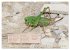 GEOclick Lernkalender: Insekten... - Bild 6