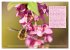 GEOclick Lernkalender: Insekten... - Bild 9