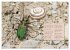 GEOclick Lernkalender: Insekten... - Bild 10