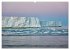 Svalbard-Momente (Wandkalender 2026 DIN... - Bild 12
