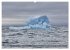 Svalbard-Momente (Wandkalender 2026 DIN... - Bild 3